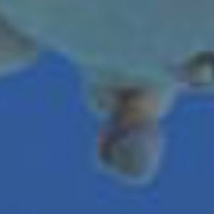 Meet your Posher, Jack